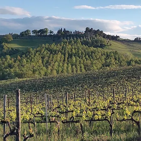 Il Giardino Del Chianti דירה