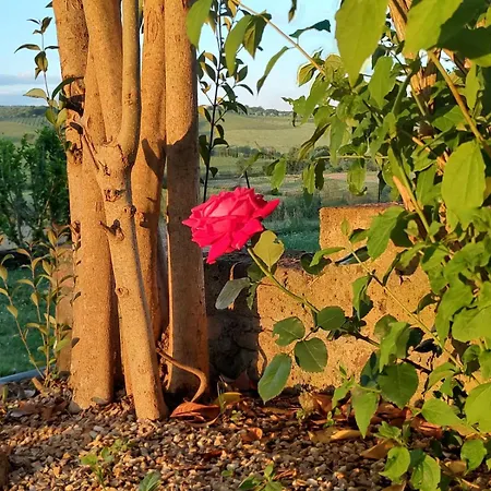 Il Giardino Del Chianti Apartmán *