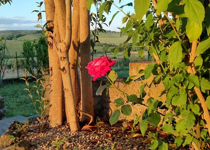 Il Giardino Del Chianti Appartamento *