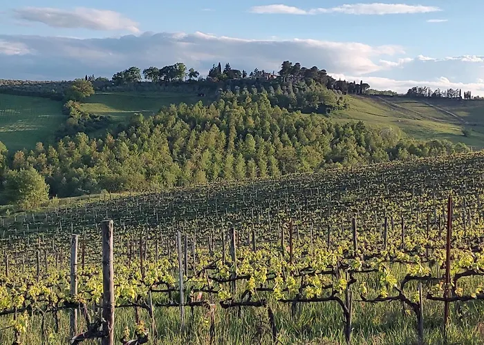 Il Giardino Del Chianti Appartamento
