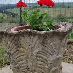 Apartment Il Giardino Del Chianti *