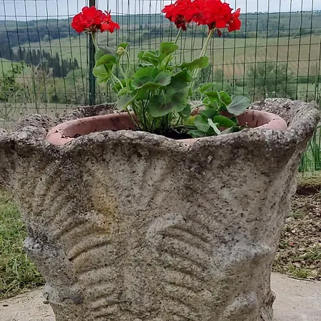 Apartmán Il Giardino Del Chianti *